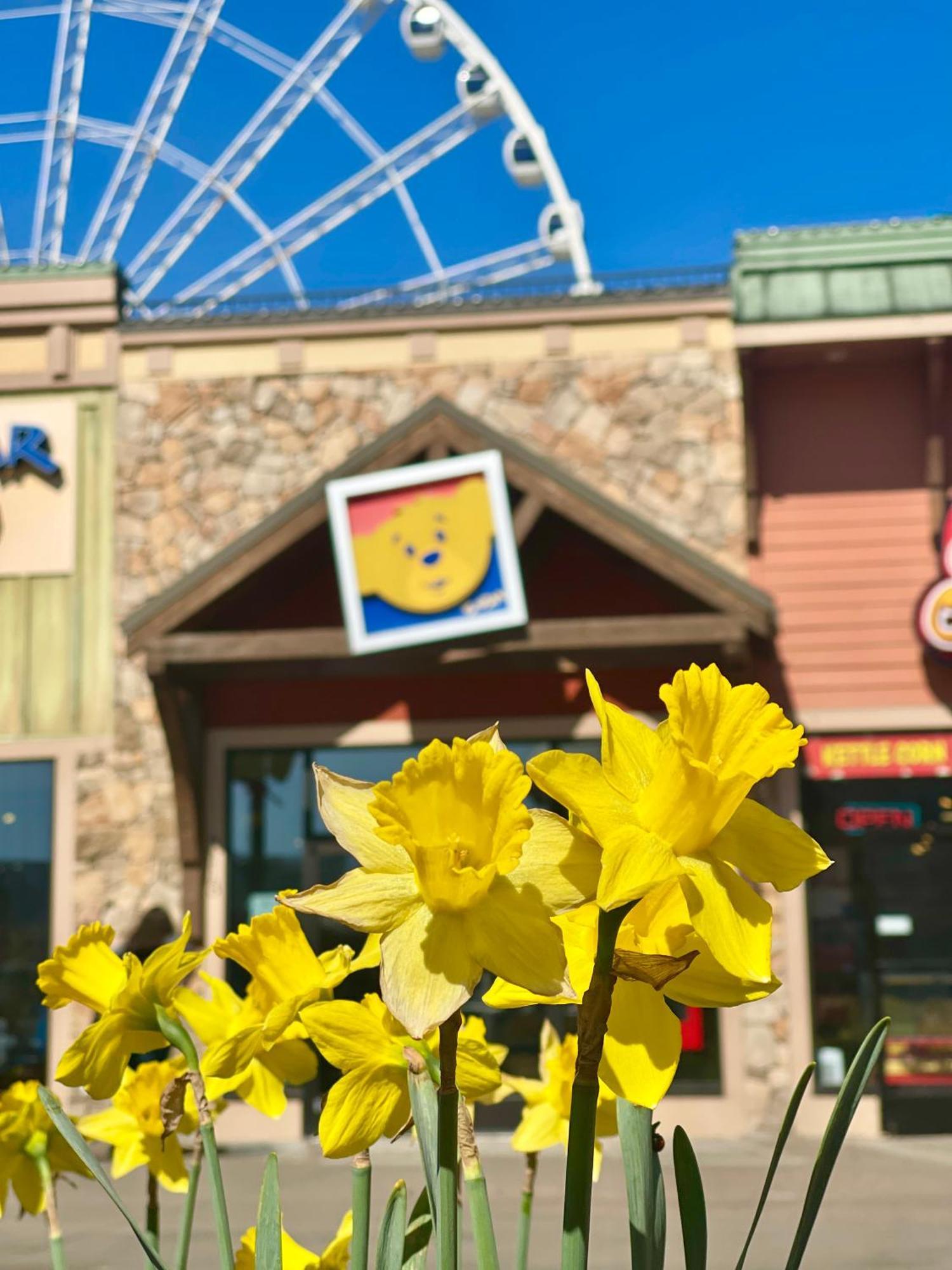 Blue Bear Splash Villa Pigeon Forge Luaran gambar